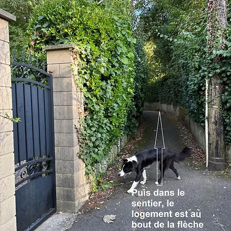 Merig'home Climatisee Dans Maison Avec Piscine Au Calme En Ville, Couette-café Angoulême